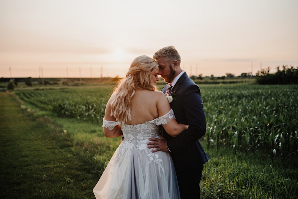 A bride and groom embrace in a cornfield as the sun sets behind them outside of their wedding venue, Destihl Brewery in Normal, Illinois