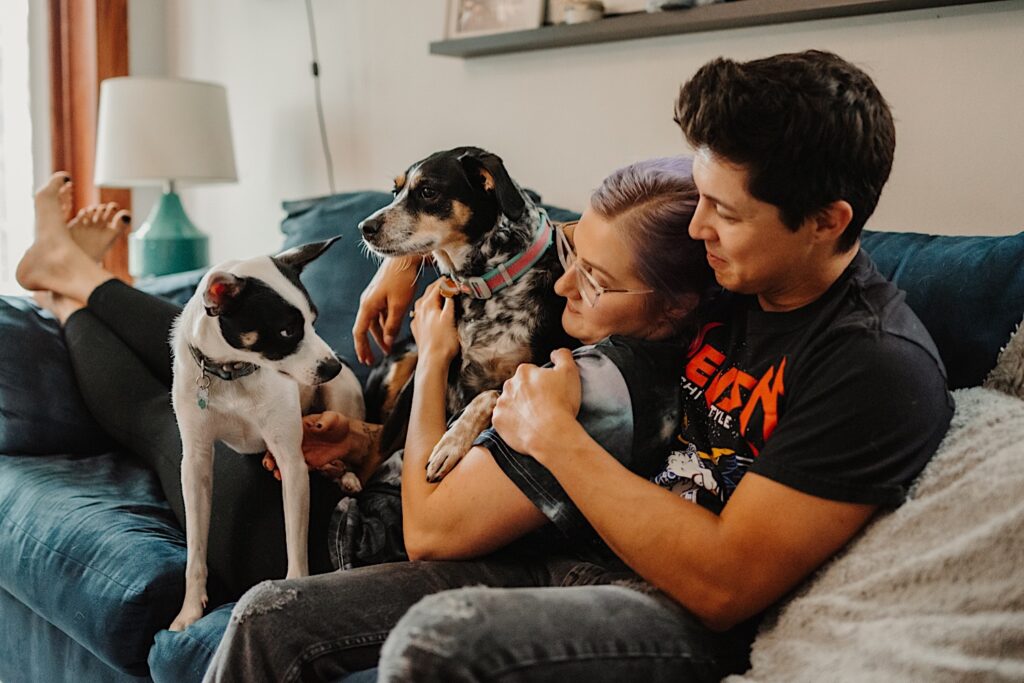 A couple sit on the couch of their Chicago apartment with two dogs  while taking engagement photos